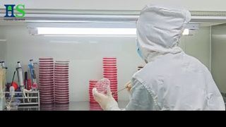 ELASEM® Yumurta Kabuğu Membran Serisi: Ortak Sağlık ve Güzellik için Hammadde Çözümü