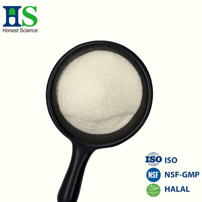 Toplu Hidrolize Sığır Kolajen Peptidi Üreticisi ve Helal Sertifikalı Tedarikçi