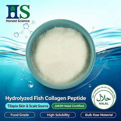 JAKIM Halal Sertifikalı Tilapia Derisi ve Ölçekli Kolajen Peptid Tozu.