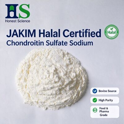 JAKIM Helal Sertifikalı Sığır Kondroitin Sülfat Sodyum | USP Sınıfı Toz