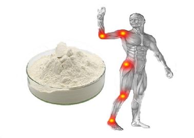GMP / DMF ile Beyaz Toz Shark Chondroitin Sülfat EP% 95 Ortak Bakım